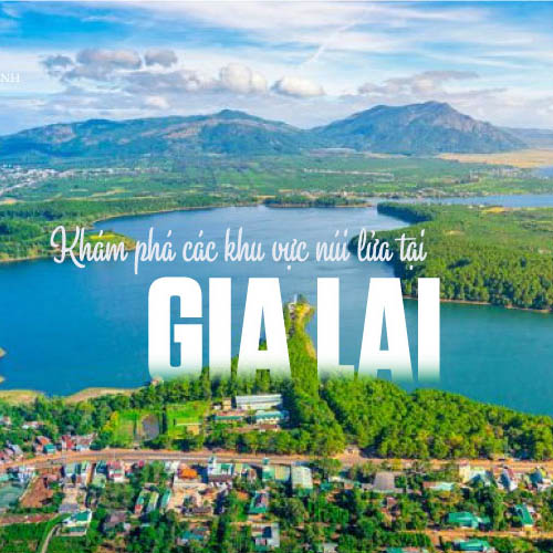 DVDL Gia Lai